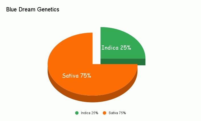 Blue Dream Genetics