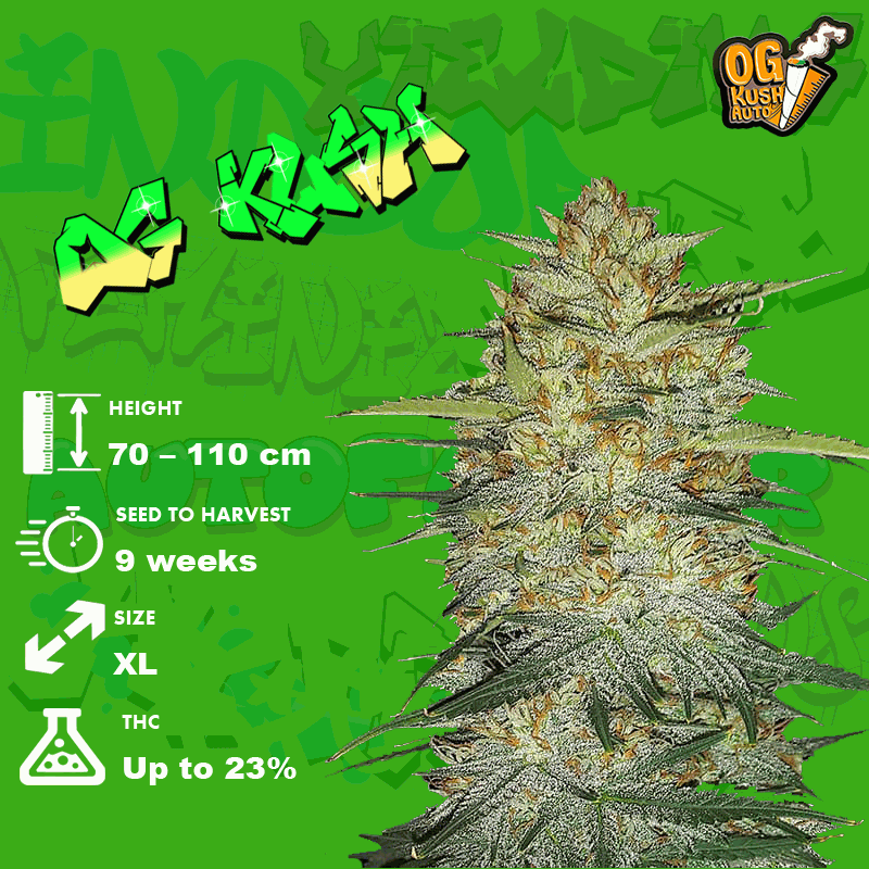 OG Kush seeds