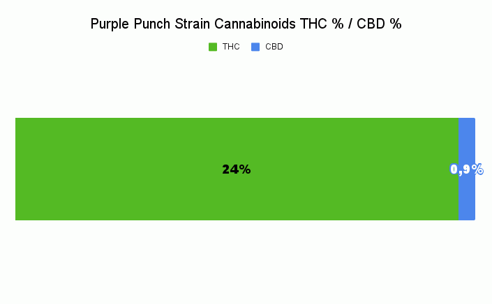 Purple Punch thc level