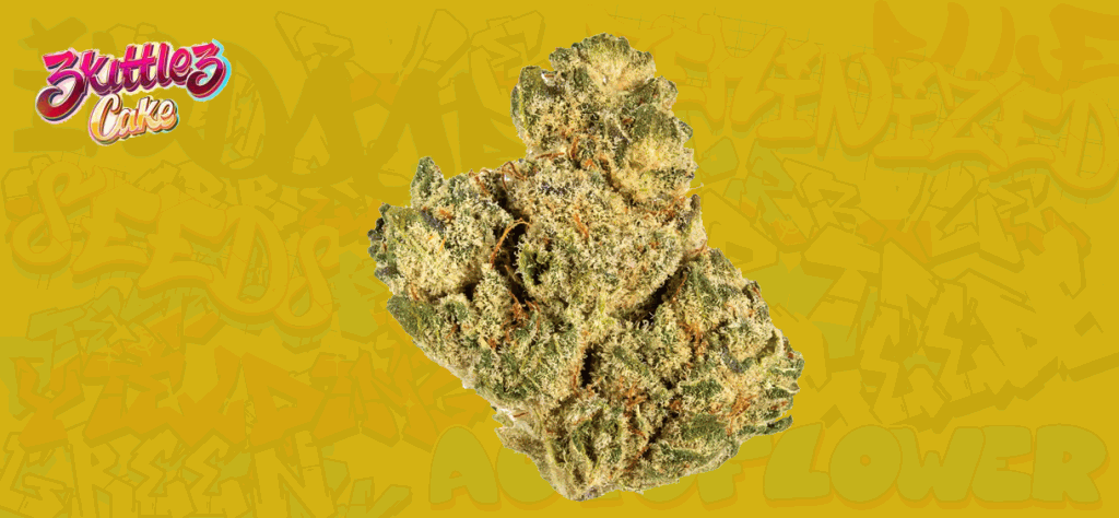 Zkittlez Strain aka Skittles 🌈🍬 - Review & Information - Cannabis-MD 2024