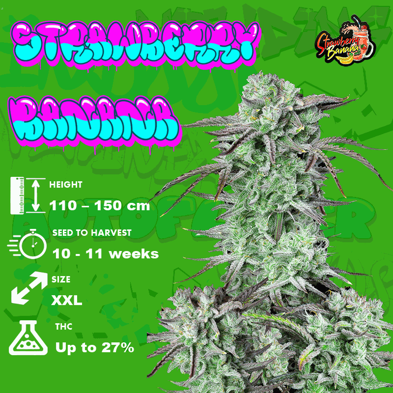 strawberry-banana-auto-grow