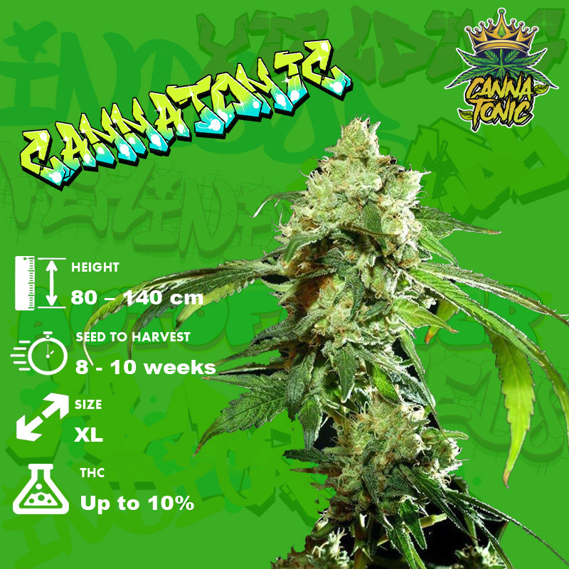 Cannatonic Strain Grow info