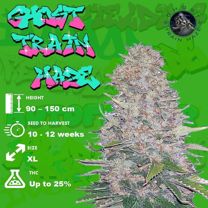 Ghost-Train-Haze-grow-info