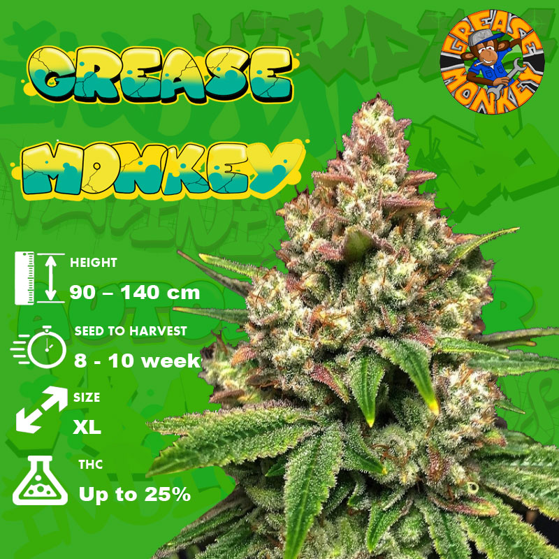 Grease-Monkey-grow-info