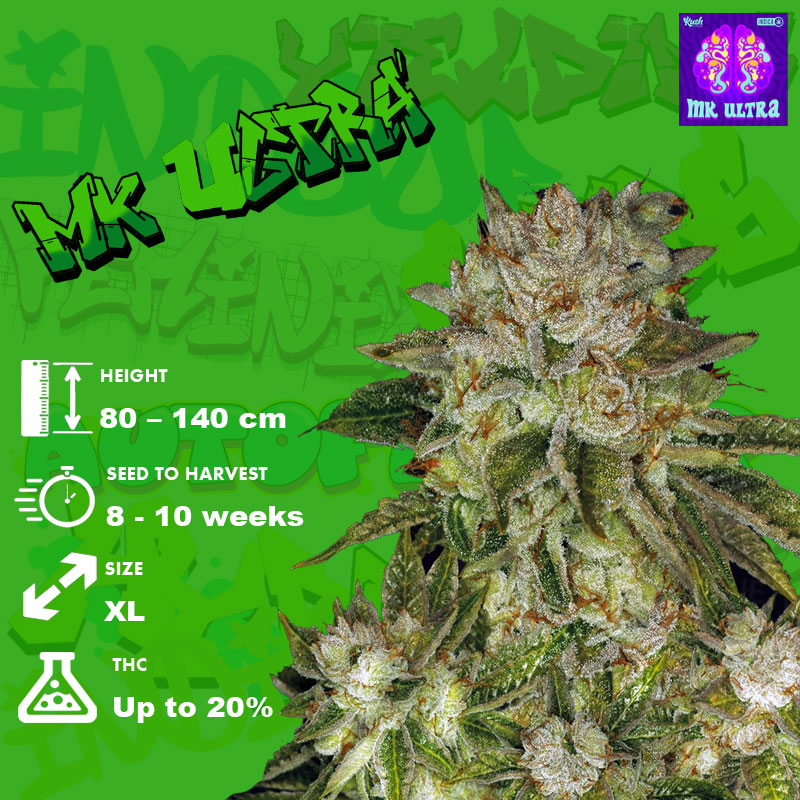 Grow info MK Ultra Strain