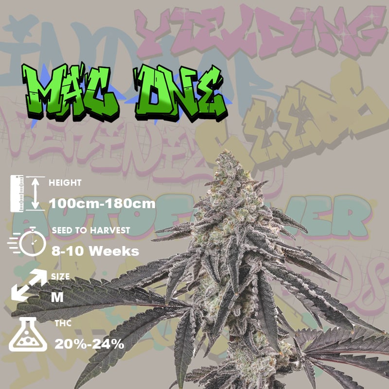 MAC 1 Strain Grow Info