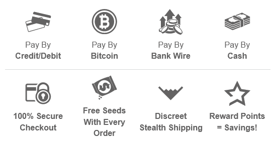 Purchasing MAC 1 Seeds