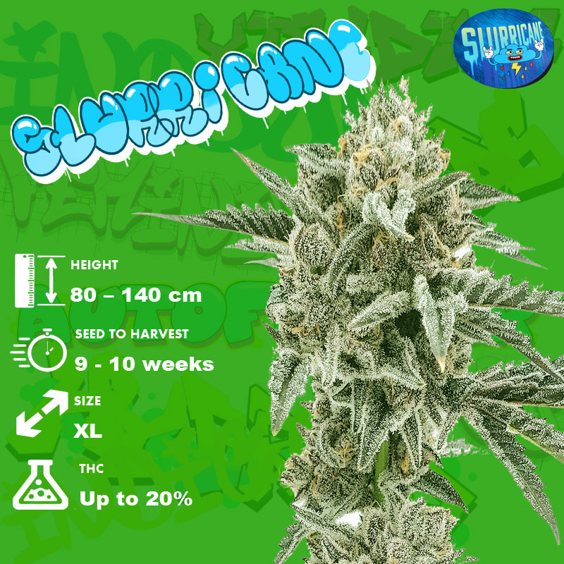 Slurricane-grow-info