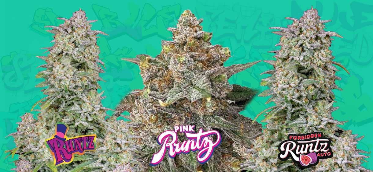top runtz strains