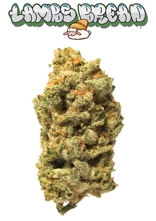Lambs Bread Strain Seeds
